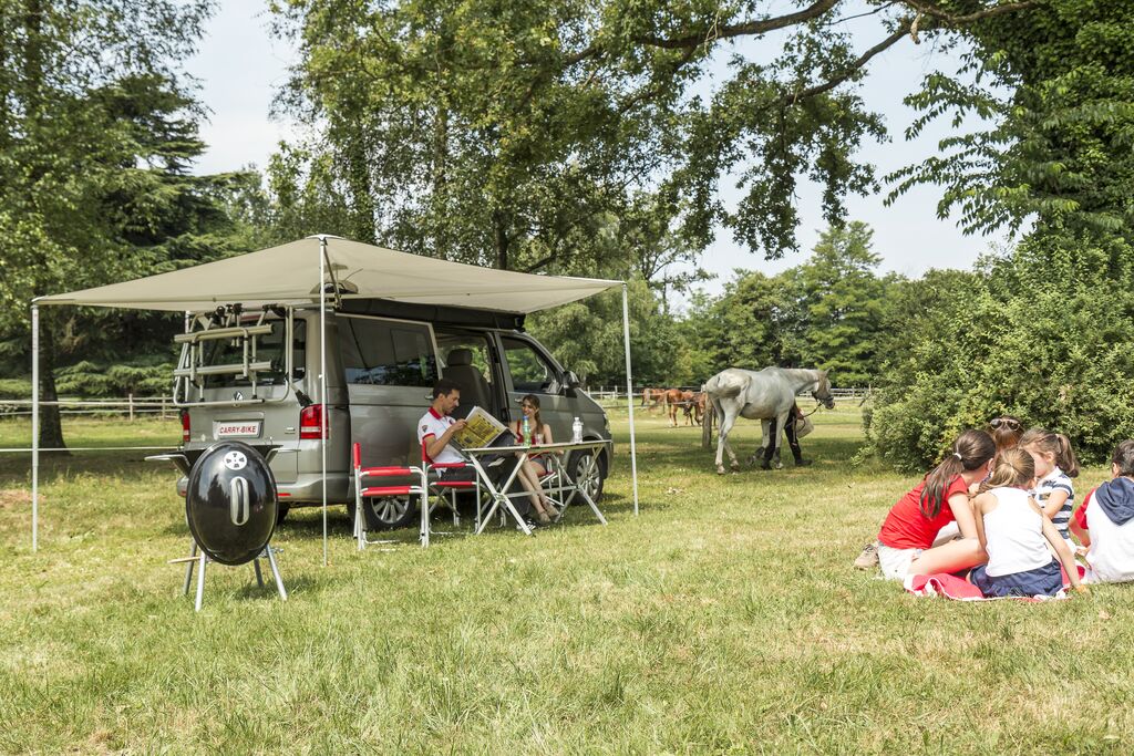 Fiamma Compass 2.2M 'Batwing' Awning Grey